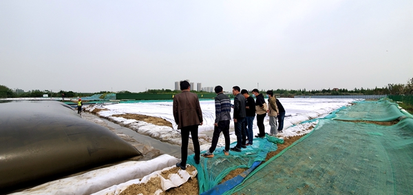 设计院组织开展淤泥高干脱水施工工艺技术参观学习活动_副本.jpg